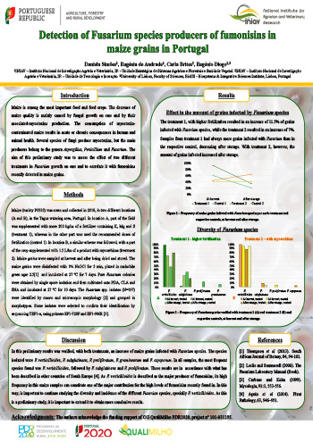 Detection of Fusarium species producers of fumonisins in maize grains in Portugal